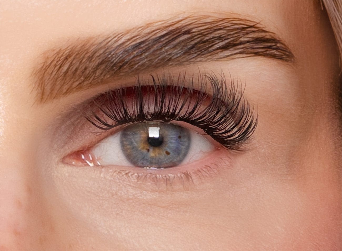 All You Need Is Lashes – Valentines Bundle 2026