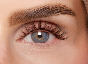 Lash Lover