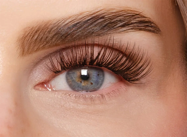 Soft Brown Edition – Classic DIY