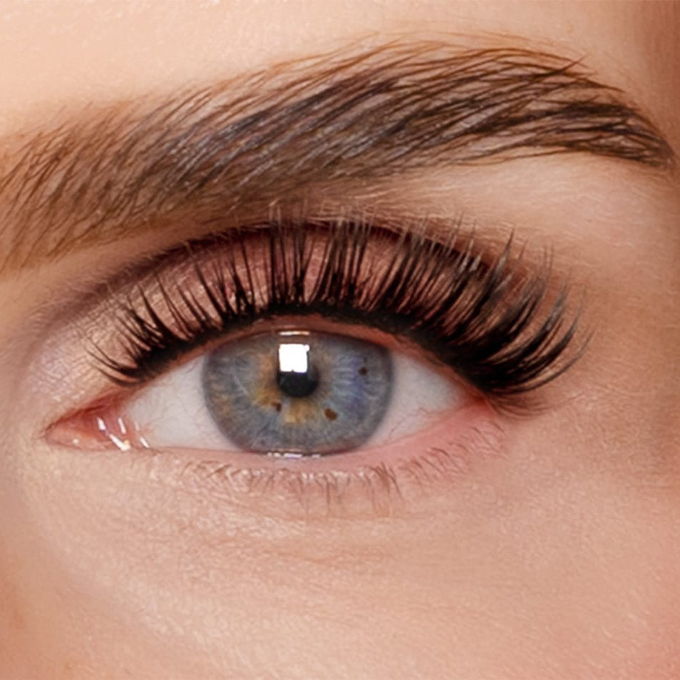 gl-1090-eye-candy-web-horizontal-lucia_A65f.jpg