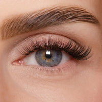 DIY Wimpernsegmente – Volume 1 (Classic DIY)