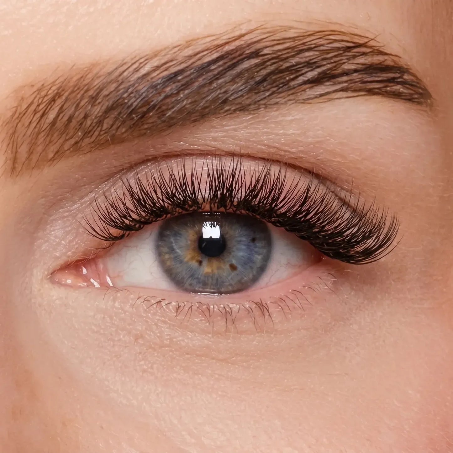 DIY Wimpernsegmente – Volume 1 (Classic DIY)