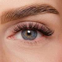 DIY Wimpernsegmente – Volume 1 (Classic DIY)
