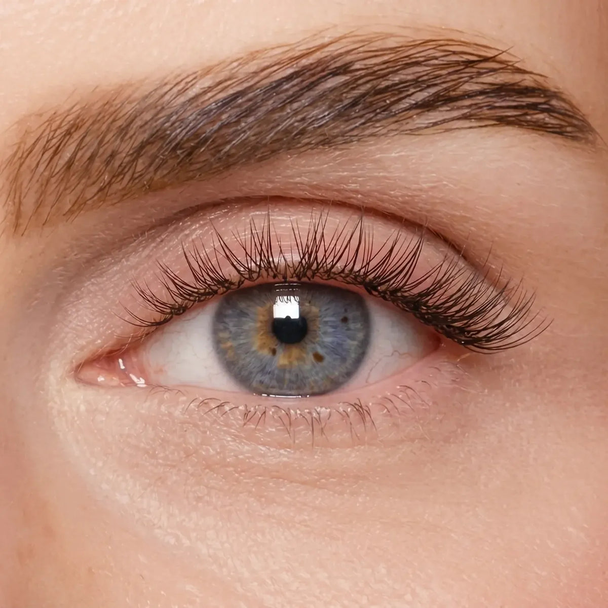 DIY Wimpernsegmente – Volume 2 (Pre-Glued 2.0) - Tiny Squad 8-12 mm