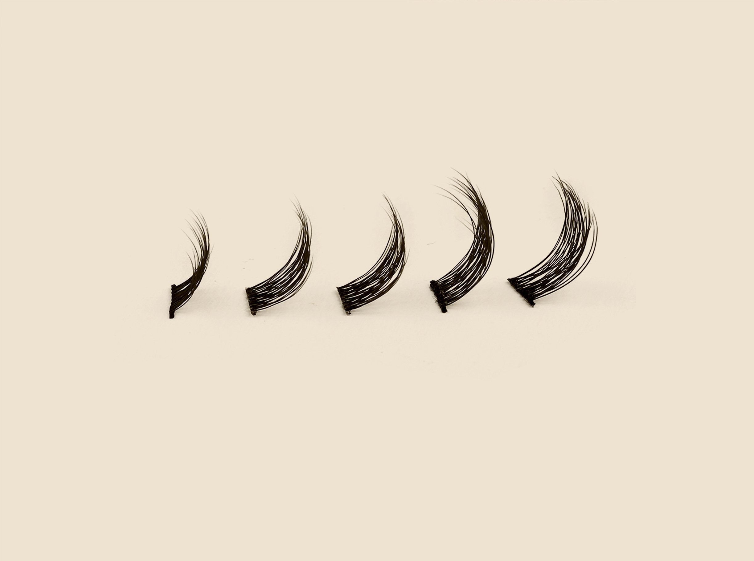 GirlGotLashes R.I.P. Mascara - Mini Box