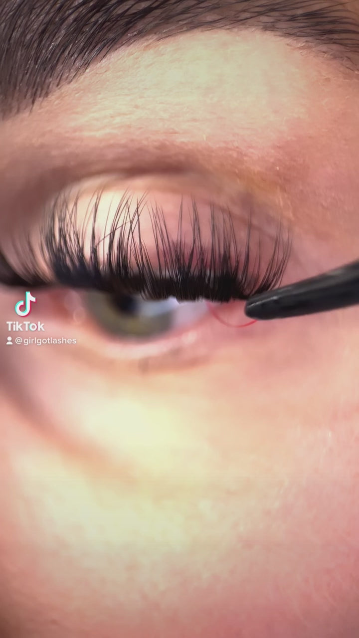 Everlashing Love - Accent Lashes